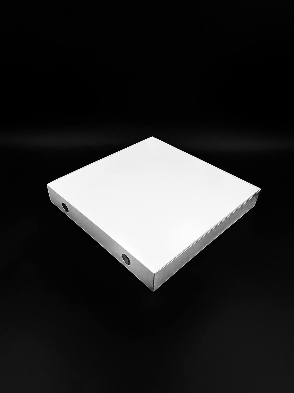 pizza 10